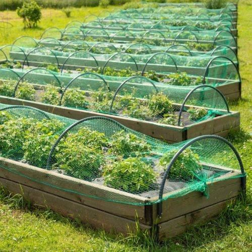  Madárháló növényekre-erkélyekre 2mx10m