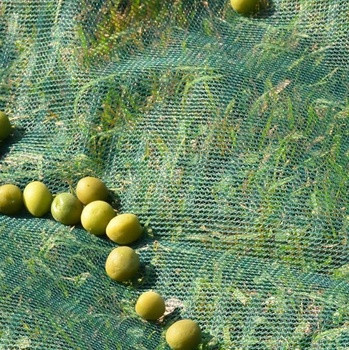  Madárháló növényekre-erkélyekre 4mx5m